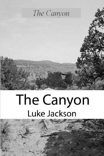 The Canyon - Luke Jackson - Boeken - zanybooks - 9780984160341 - 9 augustus 2009