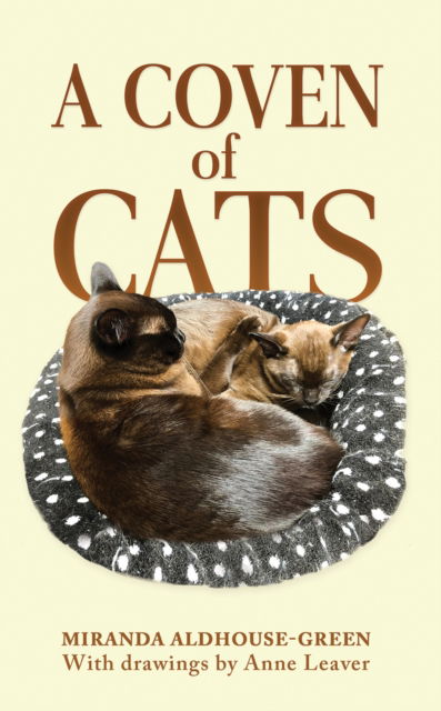 Cover for Miranda Aldhouse-Green · A Coven of Cats (Paperback Book) (2025)