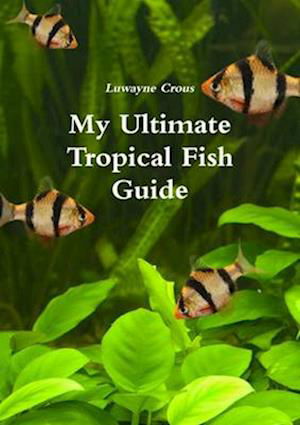 Cover for Luwayne Crous · My Ultimate Tropical Fish Guide (Buch) (2012)