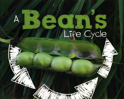 Cover for Mary R. Dunn · A Bean's Life Cycle - Explore Life Cycles (Paperback Book) (2018)