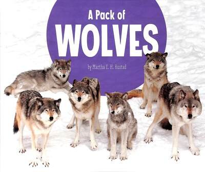 Cover for Martha E. H. Rustad · A Pack of Wolves - Animal Groups (Paperback Book) (2020)