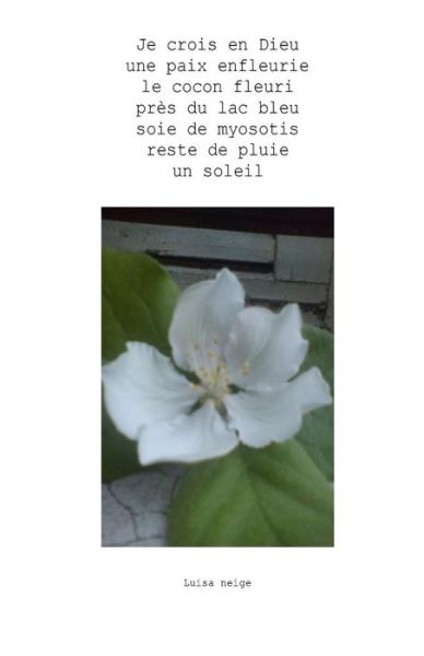 Je Crois en Dieu Une Paix Enfleurie Le Cocon Fleuri Pr S Du Lac Bleu Soie De Myoso - Luisa Neige - Bücher - Createspace Independent Publishing Platf - 9781519776341 - 9. Dezember 2015