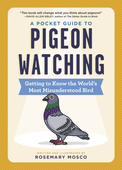 Cover for Rosemary Mosco · A Pocket Guide to Pigeon Watching: Getting to Know the World's Most Misunderstood Bird (Paperback Book) (2021)