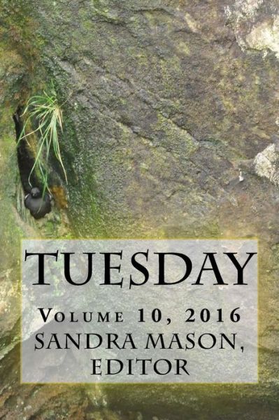 Cover for Sandra Mason · Tuesday 2016 (Paperback Book) (2017)