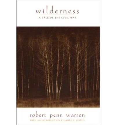Cover for Robert Penn Warren · Wilderness: A Tale Of The Civil War (Paperback Book) (2001)