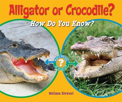 Cover for Melissa Stewart · Alligator or Crocodile?: How Do You Know? (Which Animal is Which?) (Pocketbok) (2011)