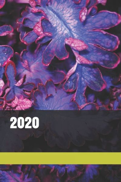 Cover for Monna Ellithorpe · 2020 (Paperback Book) (2019)