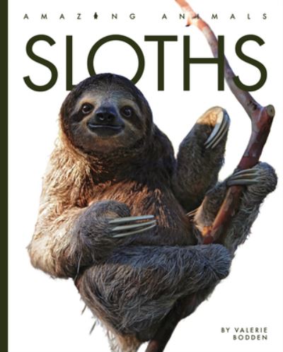 Sloths - Valerie Bodden - Bøker - Creative Company, The - 9781682771341 - 17. januar 2023