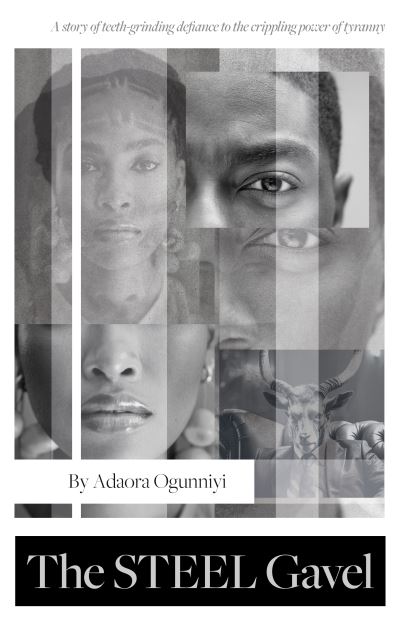 Cover for Adaora Ogunniyi · The Steel Gavel (Paperback Book) (2023)