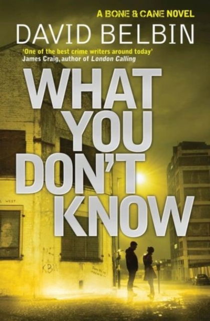 Cover for David Belbin · What You Dont Know (Paperback Book) (2013)