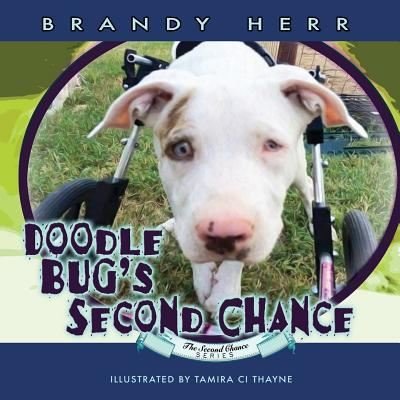 Cover for Brandy Herr · Doodle Bug's Second Chance (Paperback Book) (2018)