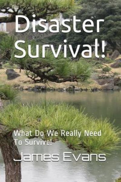 Disaster Survival! - James Evans - Books - Independently Published - 9781976715341 - December 23, 2017