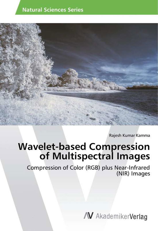 Cover for Kamma · Wavelet-based Compression of Mult (Book)