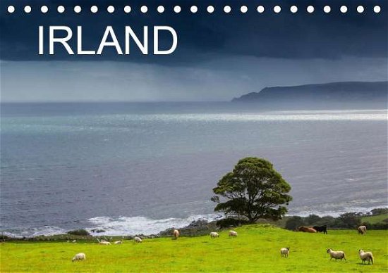Cover for Böhme · IRLAND - Insel der glücklichen Sc (Book)