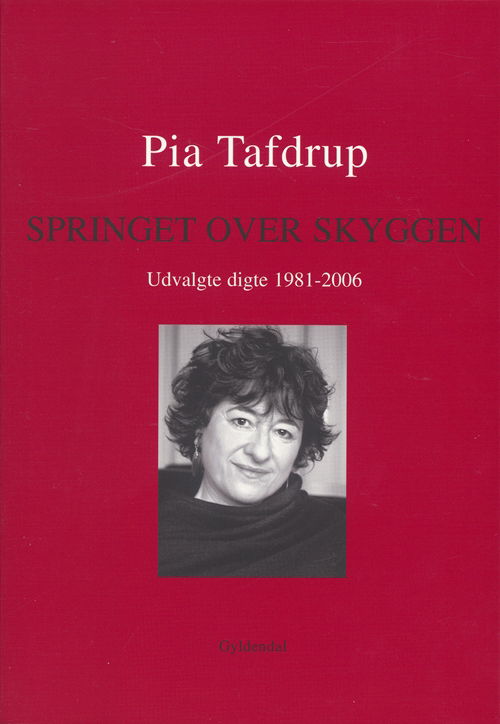 Cover for Pia Tafdrup · Springet over skyggen (Heftet bok) [1. utgave] (2007)