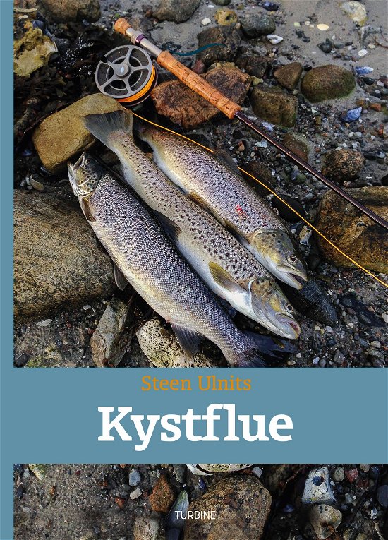 Cover for Steen Ulnits · Kystflue (Hardcover Book) [1er édition] (2017)
