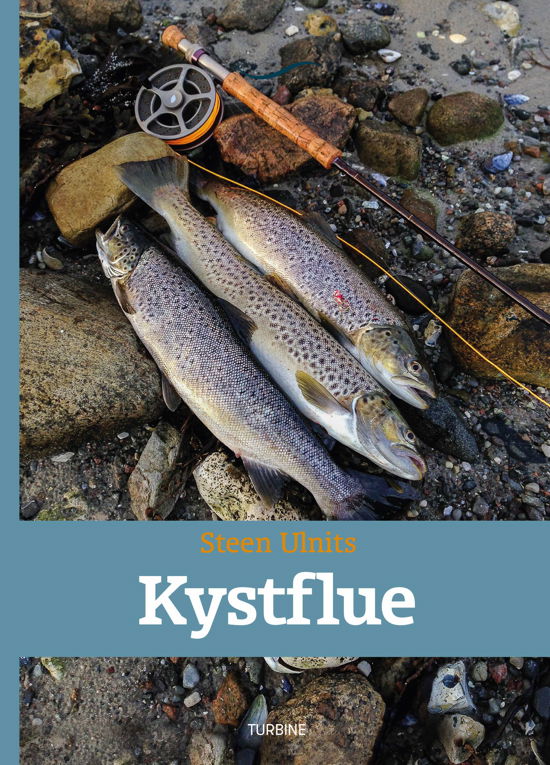 Kystflue - Steen Ulnits - Bücher - Turbine - 9788740618341 - 10. November 2017