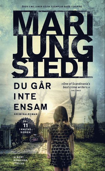 Cover for Mari Jungstedt · Anders Knutas: Du går inte ensam (ePUB) (2013)