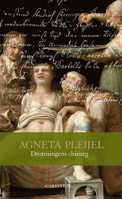 Cover for Agneta Pleijel · Drottningens chirurg (Paperback Book) (2007)