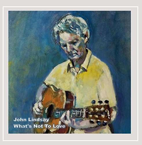 What's Not to Love - John Lindsay - Music - John Lindsay - 0190394294342 - February 18, 2016