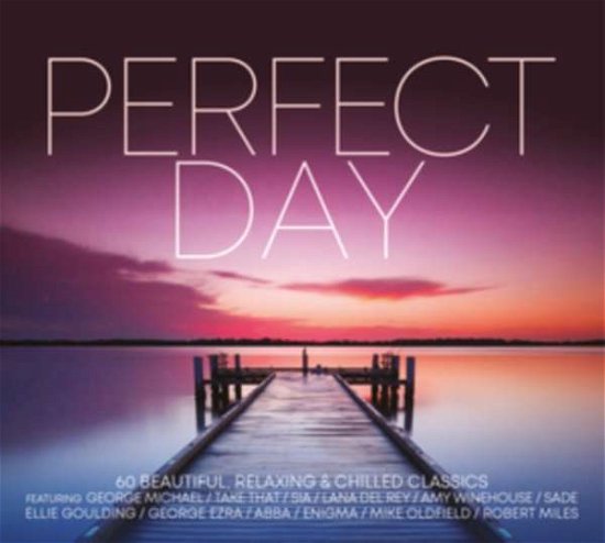 Cover for Perfect Day (CD) (2020)