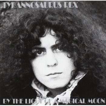 By the Light of a Magical Moon - T.rex - Musique - UNIVERSAL - 0602537671342 - 4 mars 2014