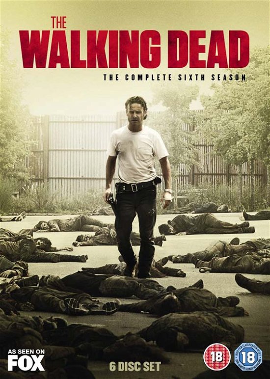 Cover for The Walking Dead - Season 6 (DVD) (2016)