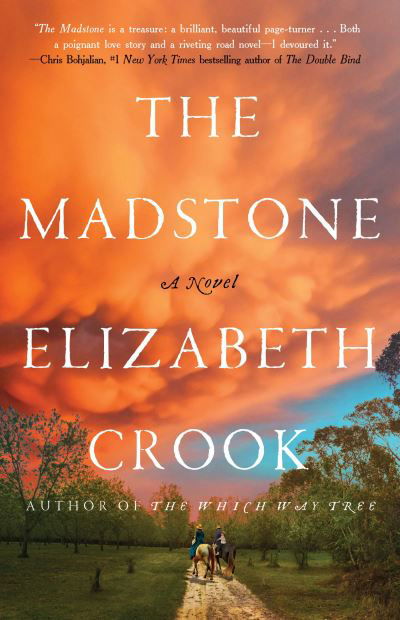 Cover for Elizabeth Crook · The Madstone : A Novel (Inbunden Bok) (2023)