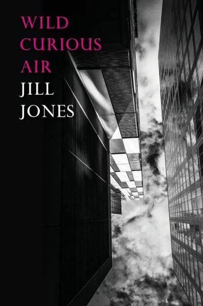 Cover for Jill Jones · Wild Curious Air (Paperback Book) (2020)