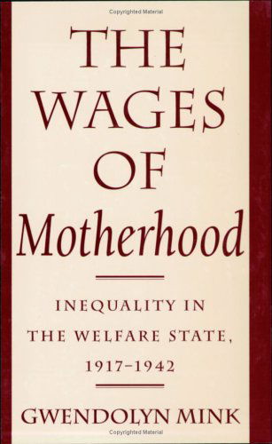 Cover for Gwendolyn Mink · The Wages of Motherhood: Inequality in the Welfare State, 1917–1942 (Taschenbuch) [New edition] (1996)