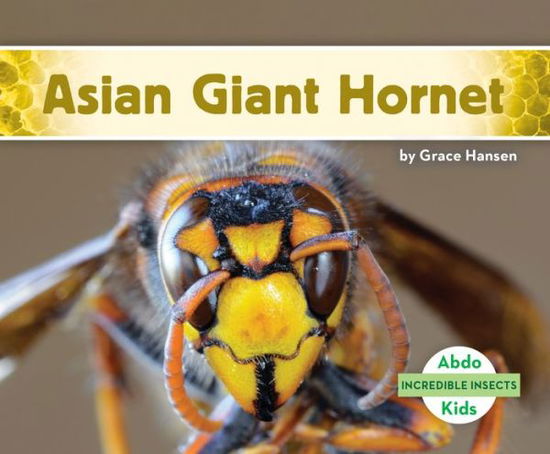 Cover for Grace Hansen · Asian Giant Hornet (Hardcover Book) (2021)