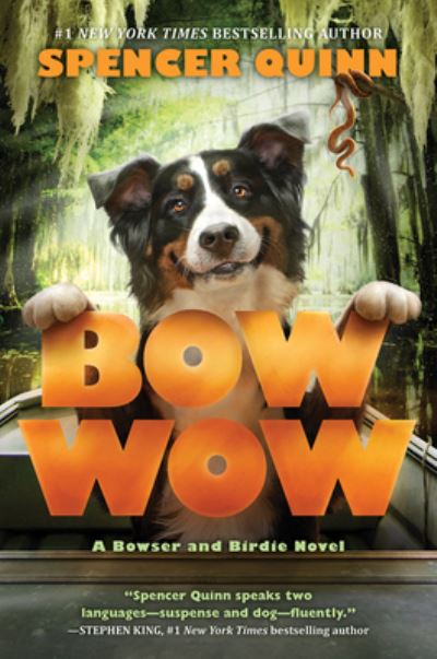 Bow Wow a Bowser and Birdie Novel - Spencer Quinn - Books - Scholastic, Incorporated - 9781338091342 - May 30, 2017