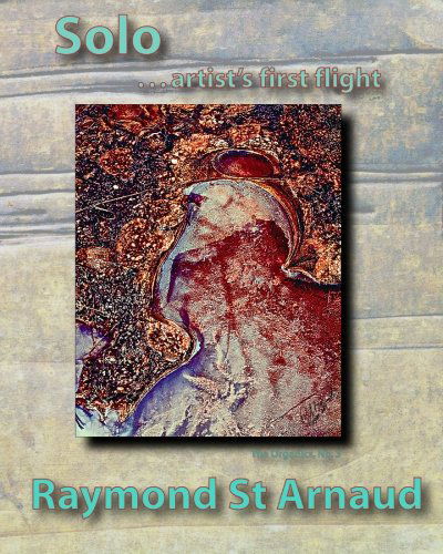 Cover for Raymond H St Arnaud · Solo...artist's First Flight (Paperback Book) (2010)