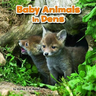 Baby Animals in Dens - Baby Animals and Their Homes - Martha E. H. Rustad - Books - Capstone Global Library Ltd - 9781474733342 - January 25, 2018