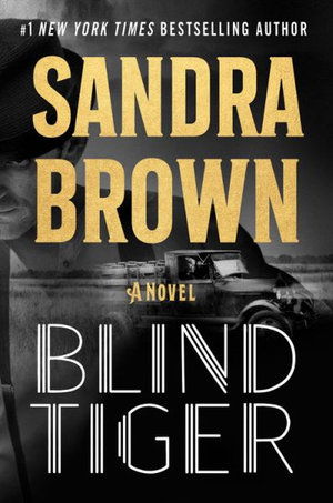 Cover for Sandra Brown · Blind Tiger (Audiobook (CD)) (2021)