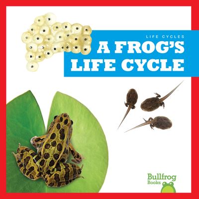 Frog's Life Cycle - Rice - Inne - Jump! Incorporated - 9781636908342 - 1 sierpnia 2022