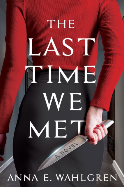 Cover for Anna E. Wahlgren · The Last Time We Met: A Novel (Hardcover Book) (2024)