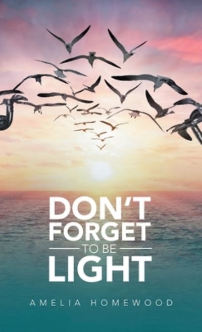 Don't Forget to Be Light - Amelia Homewood - Books - Author Solutions, LLC - 9781664264342 - May 24, 2022