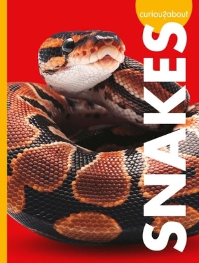 Cover for Alissa Thielges · Curious about Snakes (Book) (2023)