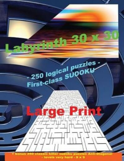 Cover for Andrii Pitenko · Labyrinth 30 X 30 - 250 Logical Puzzles - First-Class Sudoku (Taschenbuch) (2018)