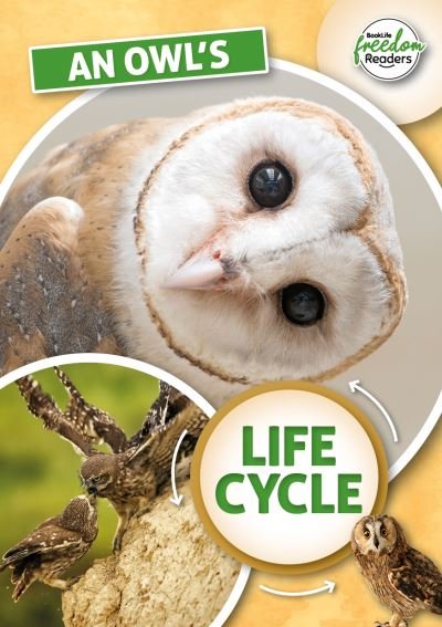 An Owl's Life Cycle - BookLife Freedom Readers - Madeline Tyler - Böcker - BookLife Publishing - 9781801551342 - 2 maj 2022