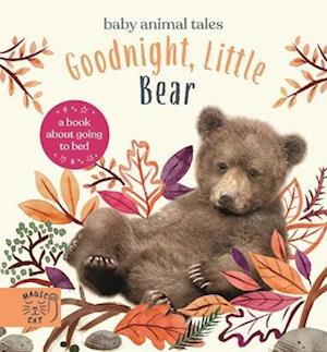 Cover for Amanda Wood · Goodnight, Little Bear: A Book About Going to Bed - Baby Animal Tales (Hardcover Book) (2022)