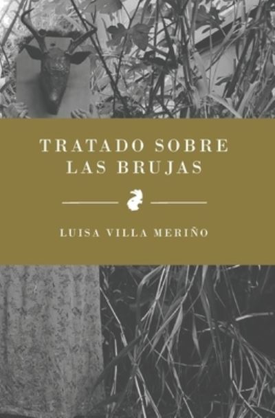 Tratado Sobre Las Brujas - Luisa Villa - Boeken - Jade Publishing - 9781949299342 - 6 augustus 2023