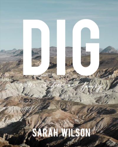 Cover for Sarah Wilson · DIG: Unearthing Dinosaurs and Family Bonds (Hardcover Book) (2023)