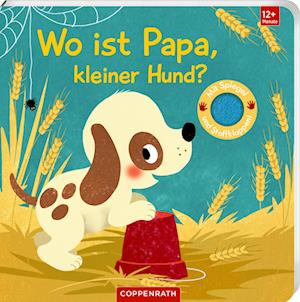 Cover for Sabine Kraushaar · Wo ist Papa, kleiner Hund? (Book) (2024)