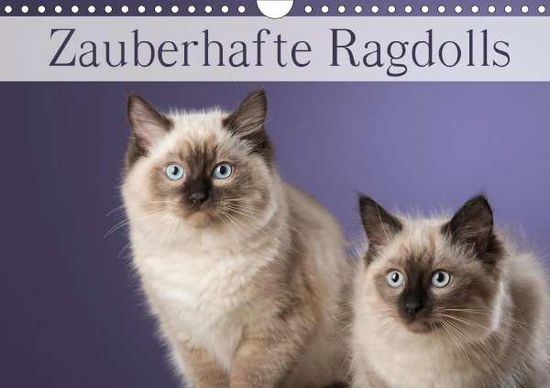 Cover for Noack · Zauberhafte Ragdolls / Geburtstag (Book)