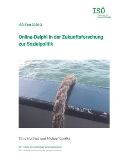 Cover for Timo Hutflesz · Online-Delphi in der Zukunftsforschung zur Sozialpolitik (Paperback Book) (2020)