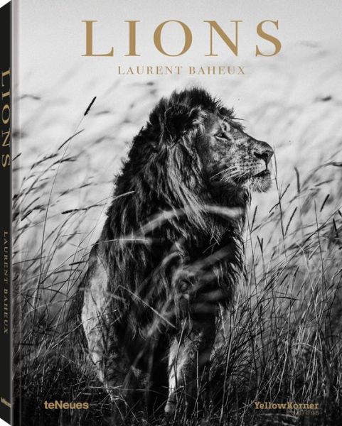 Cover for Laurent Baheux · Lions (Hardcover Book) (2019)