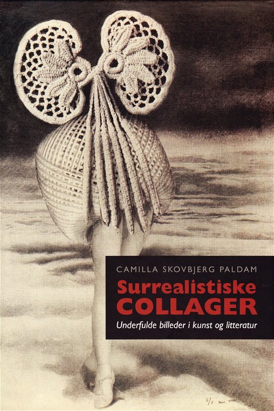Cover for Camilla Skovbjerg Paldam · Surrealistiske collager (Bound Book) [Indbundet] (2011)