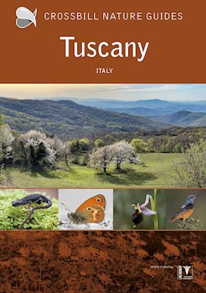 Graham Chisholm · Tuscany: Italy - Crossbill Nature Guides (Paperback Book) (2024)